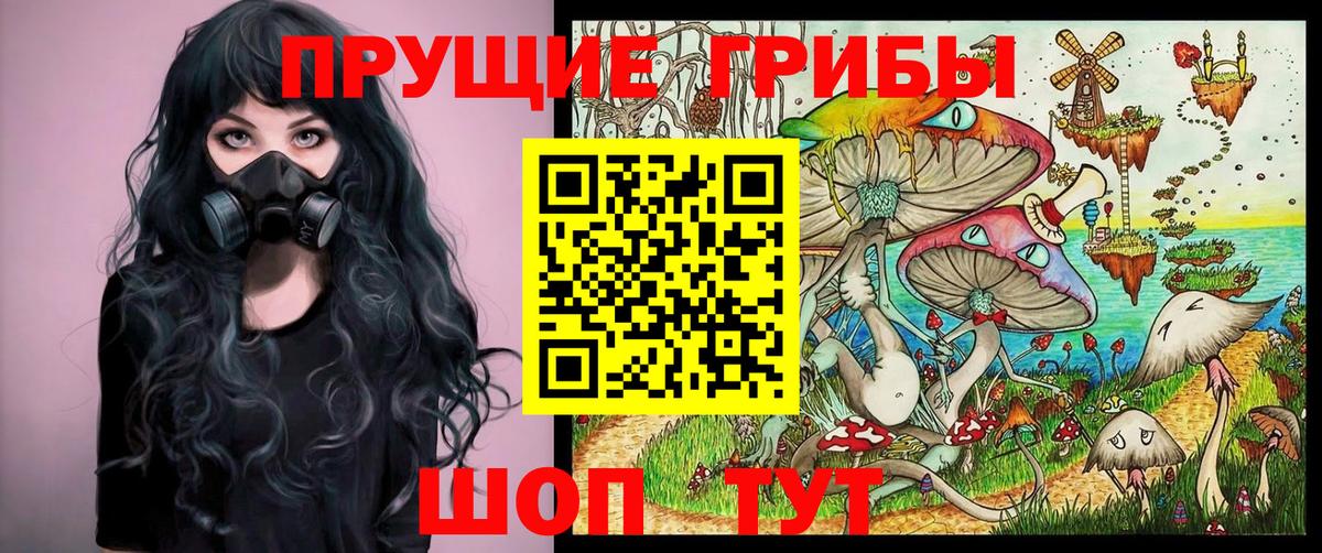 Холмск  Псилоцибиновые грибы Cubensis  Вход с VPN 
