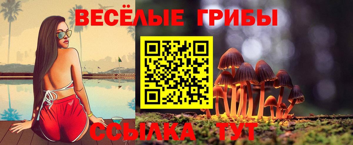 Галлюциногенные грибы MAGIC MUSHROOMS Холмск
